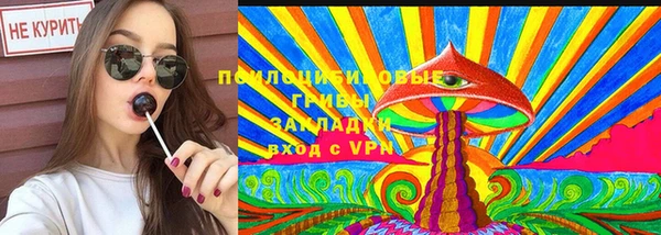 a pvp Абаза