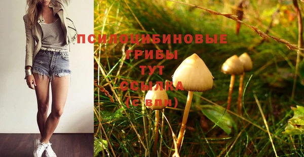 a pvp Абаза